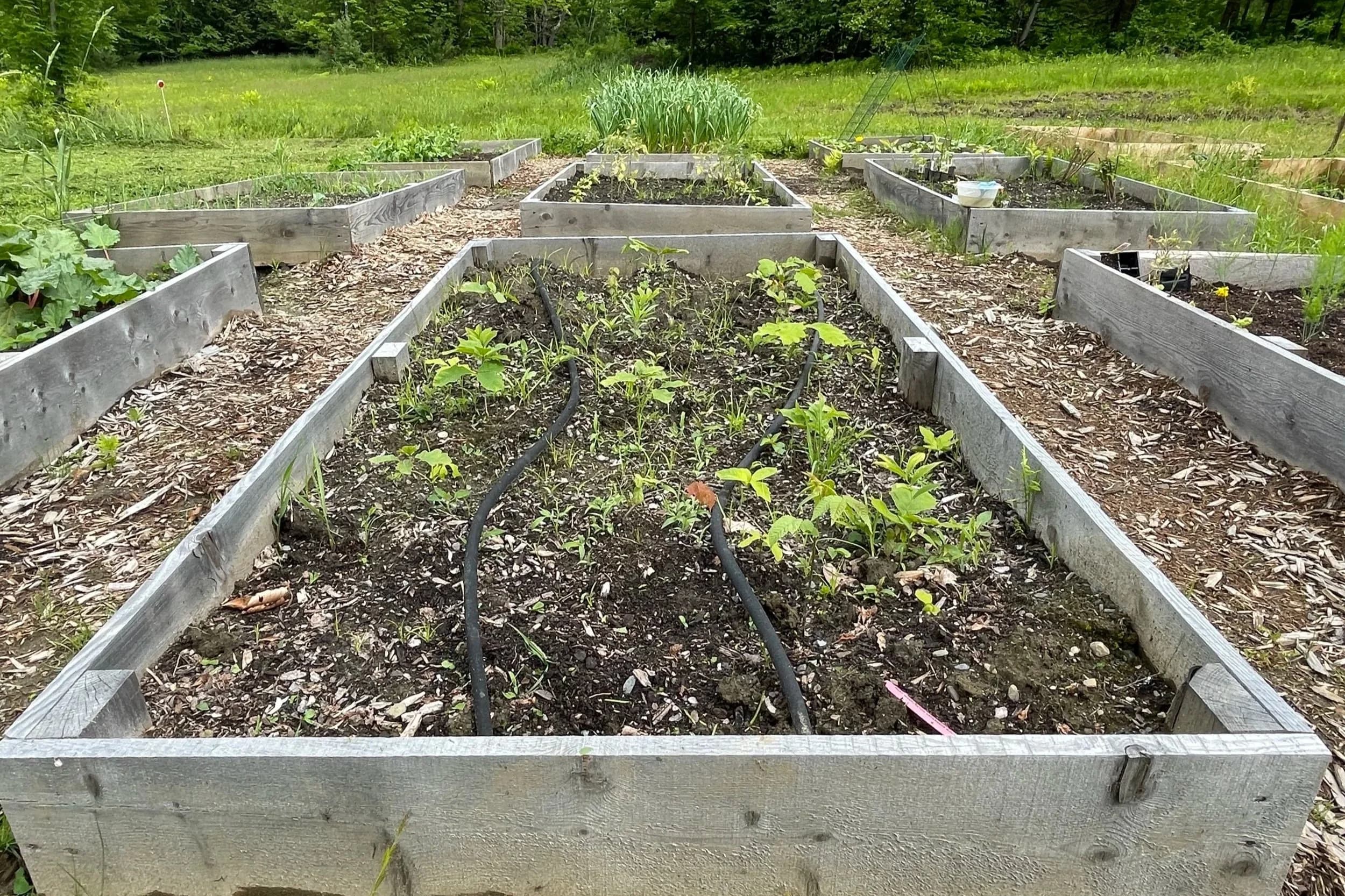 Raised garden bed with drip irrigation installed by Upper Valley Garden Solutions